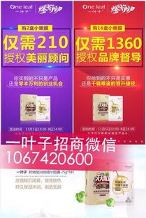 一叶子面膜代理全攻略 半门槛招募助力全国创业新机遇